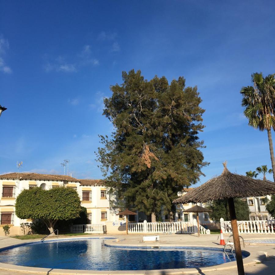 El Mirador, Villamartin, Cot To Hire, Wifi, Pool, Parking Eksteriør billede